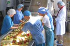 Работа в Чехии склад овощей